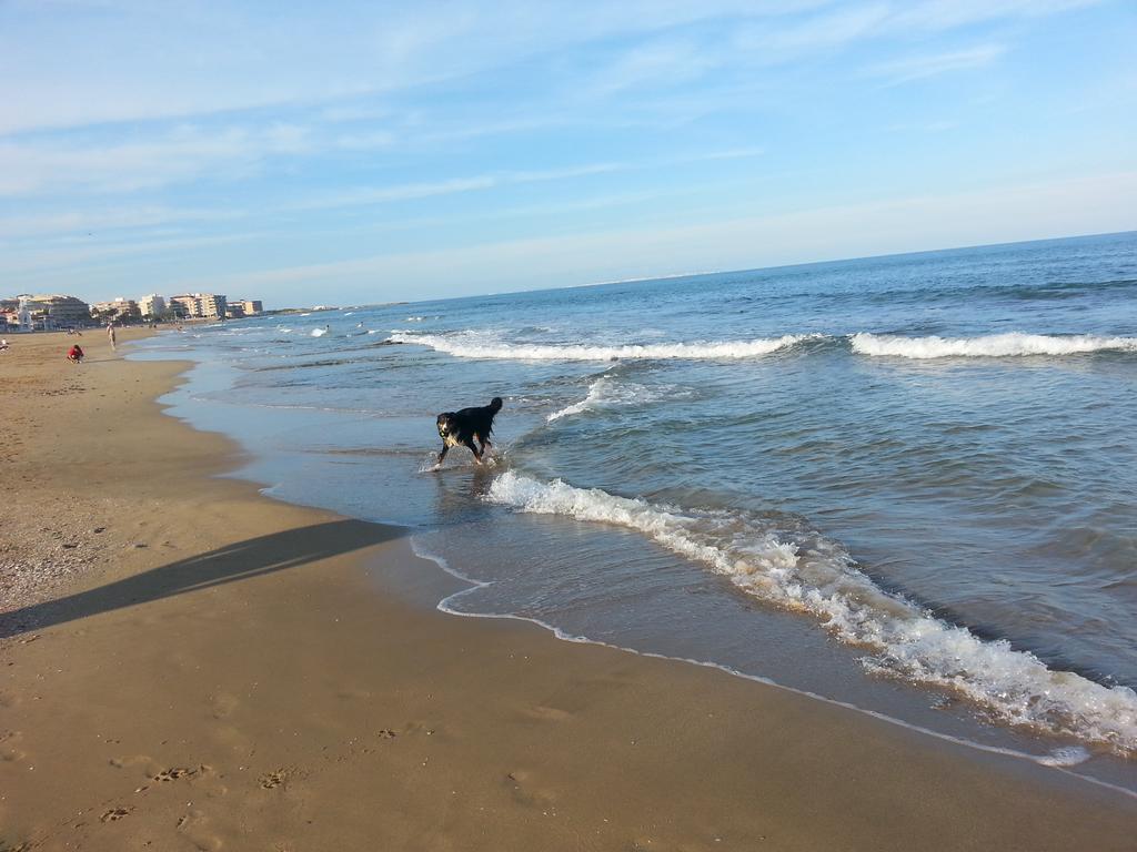 La Mata & Sea *